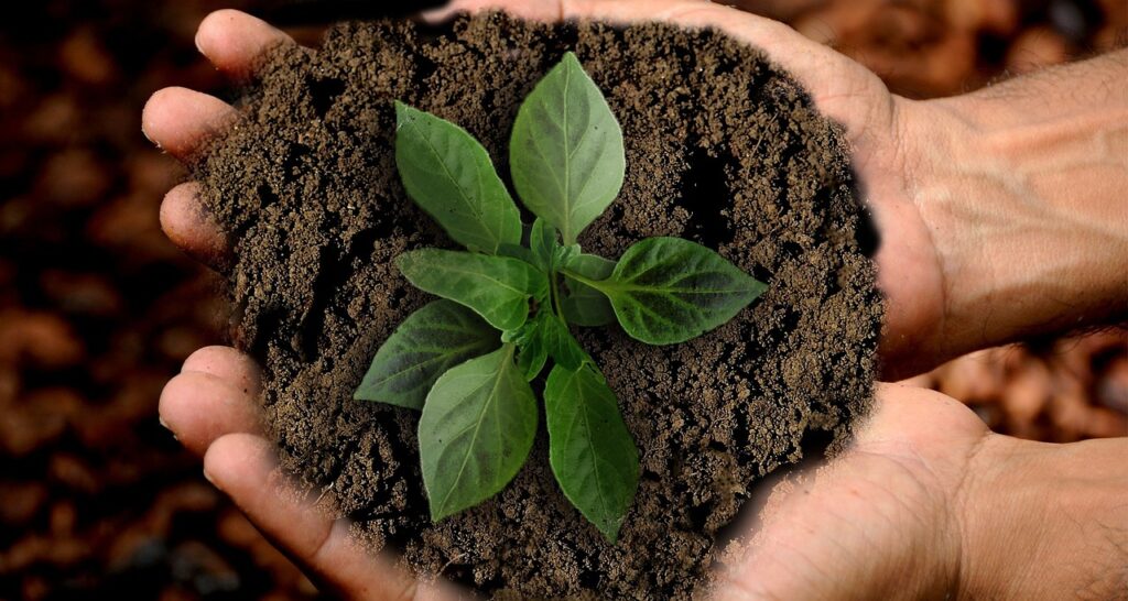 How Do I Make My Home More Sustainable? How Do I Make My Home More Sustainable?